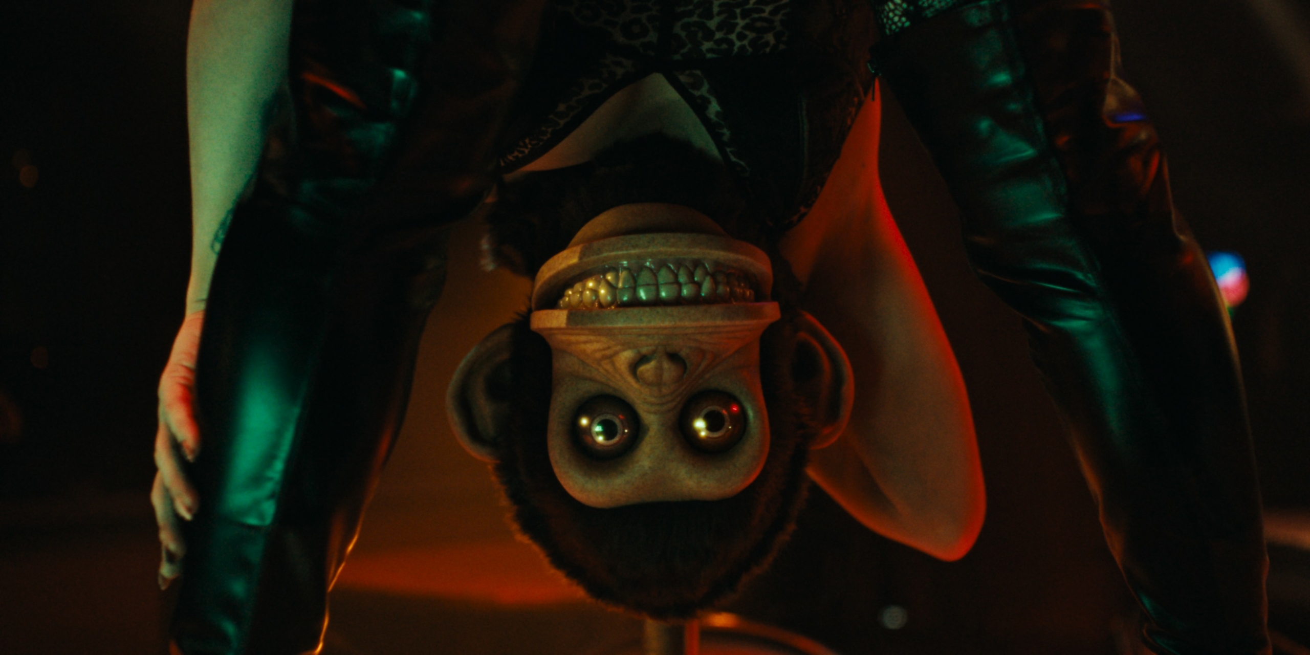 Séance Discussion // The Monkey