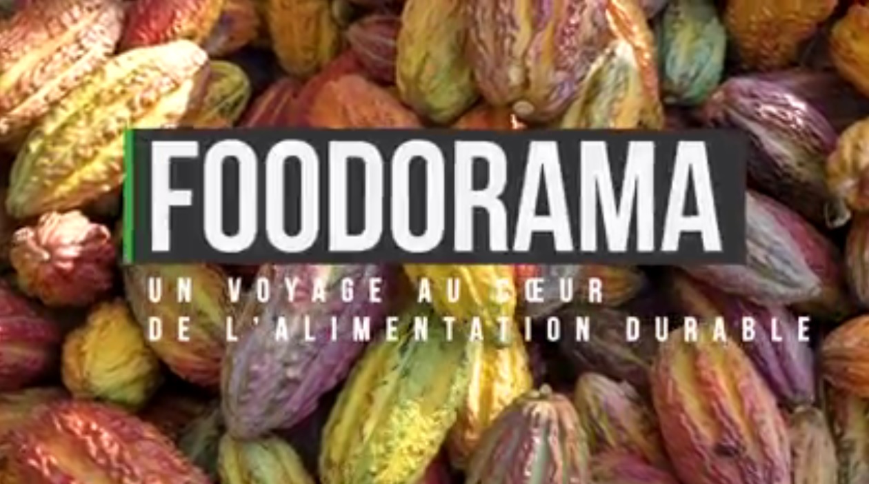 Ciné Rencontre // Foodorama