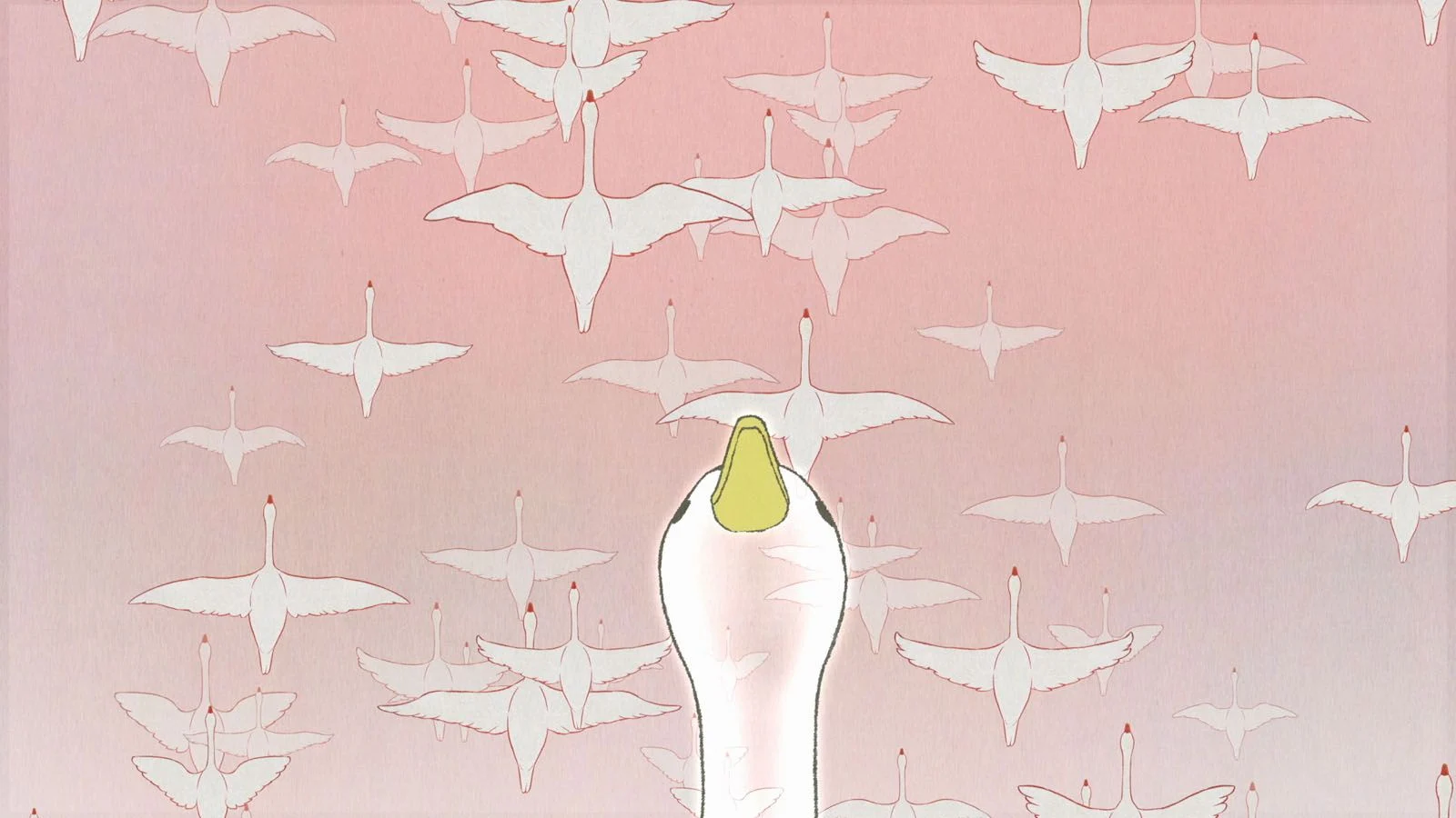 MinoKino // Le cygne et l&rsquo;enfant